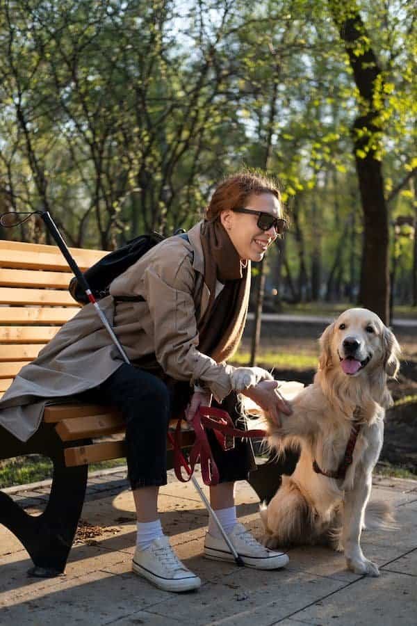 mulher-cega-sentando-num-banco-em-um-parque-com-cão-de-guarda-da-raça-golden-retriever-red