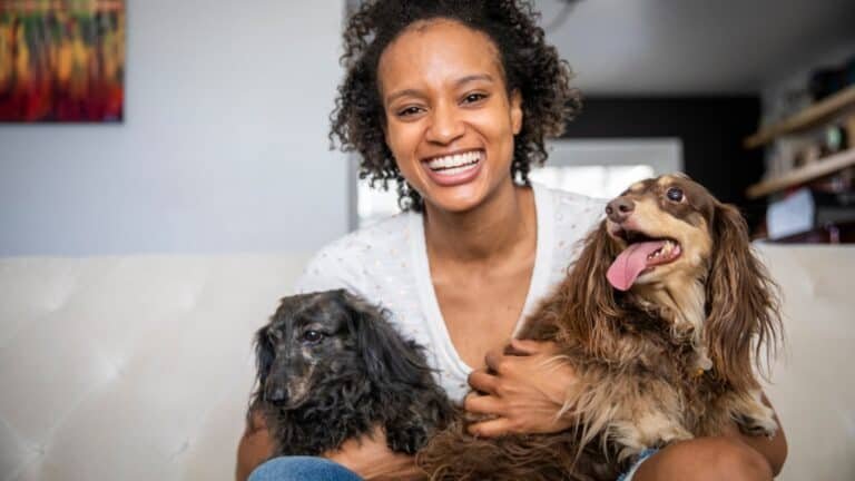 Carência nos Planos de Saúde Pet – O Que Precisa Saber