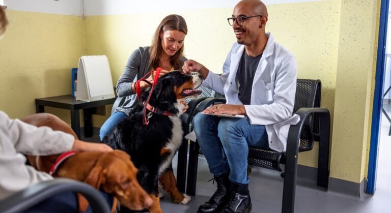 Serviços Essenciais em Planos de Saúde Pet