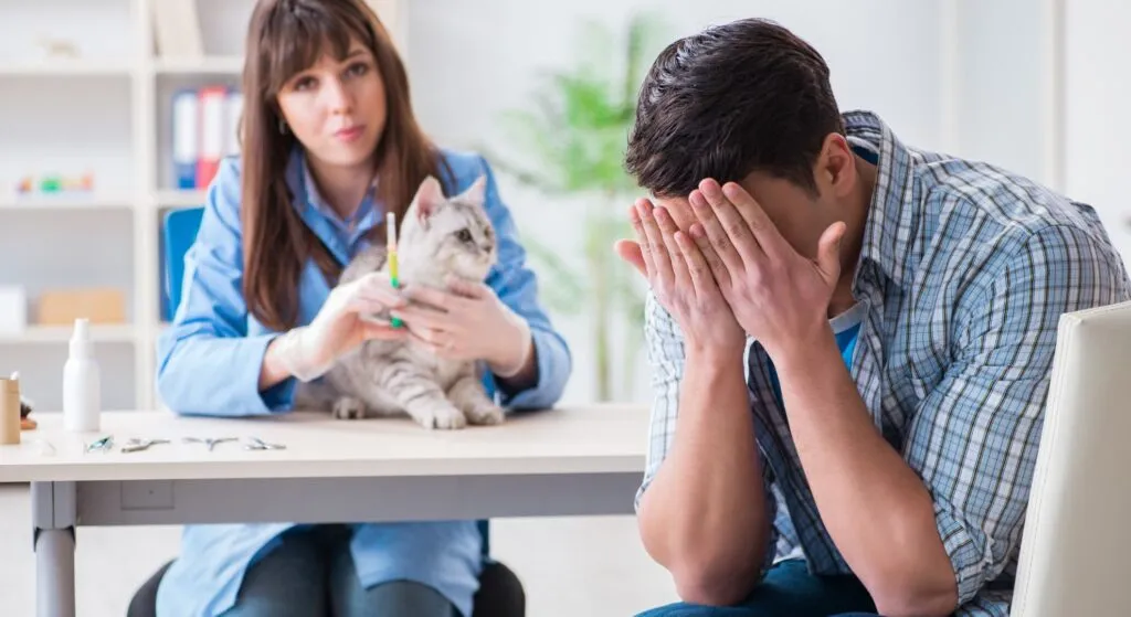 Saiba_o_que_um_plano_de_saúde_pet_não_cobre_e_por_quê