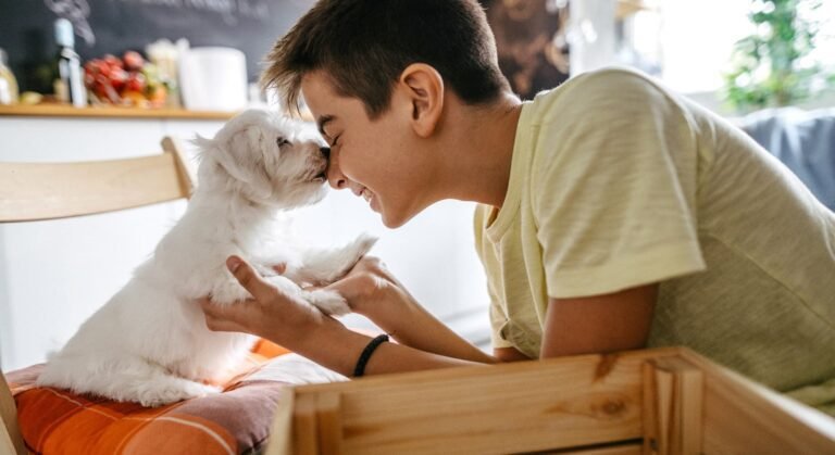 Por que Contratar o Plano de Saúde Pet em 2026?