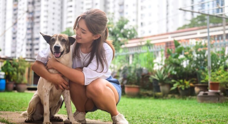 Custo de um Plano de Saúde Pet e Como Escolher o Melhor