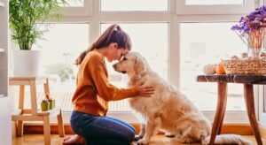 Plano de Saúde Pet: Um Ato de Amor e Cuidado