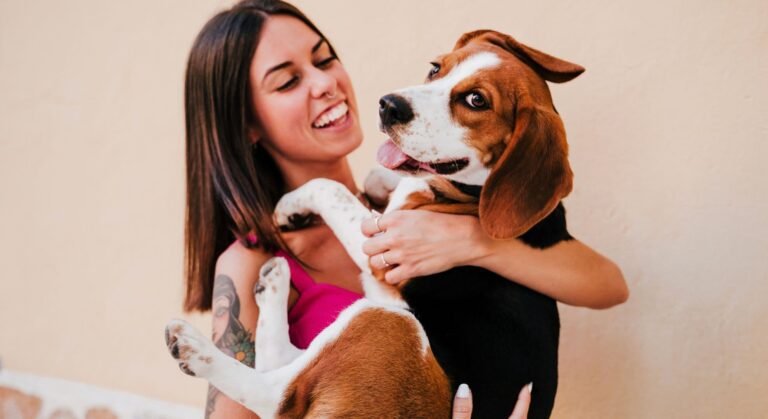Petlove Saúde – A História dos Planos de Saúde Pet