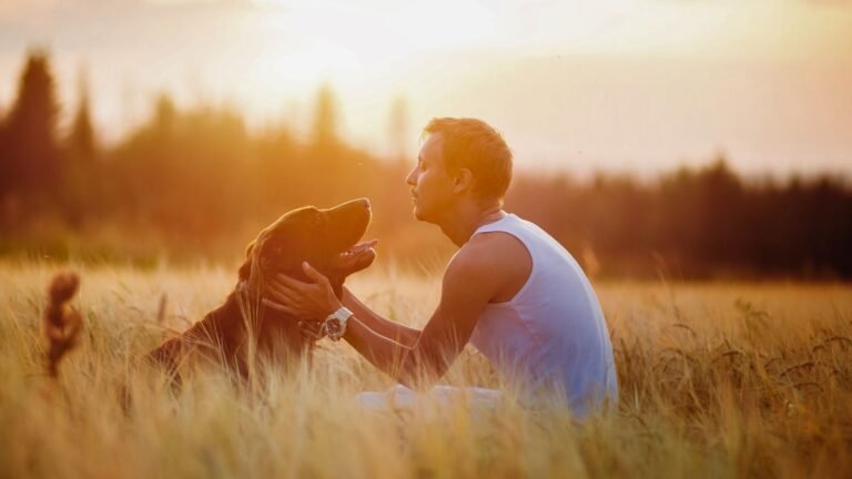 Economia de R$ 3.800: Como o Plano de Saúde Petlove Salvou as Finanças e a Pata de Max