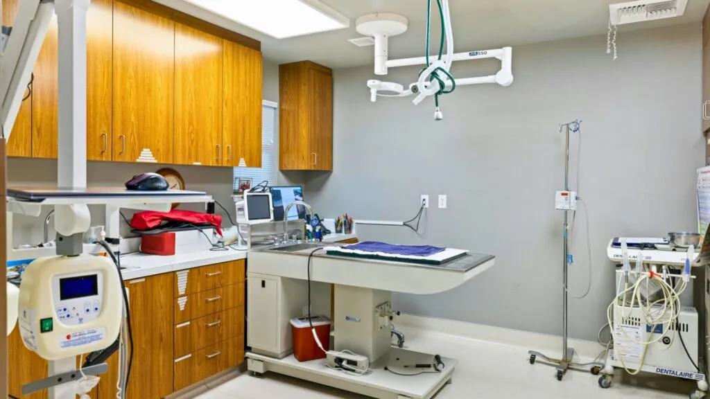 Melhores Clínicas Veterinárias com Plano Petlove em São Paulo 2025: Guia Essencial por Bairro para Tutores Exigentes clínica_veterinária_sala_de_cirurgia