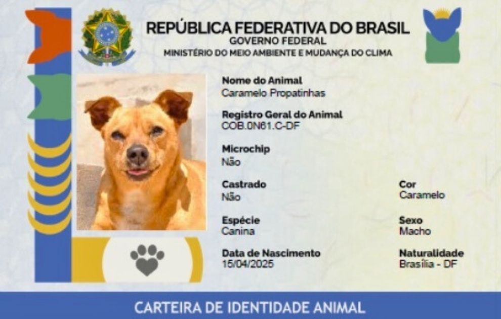 proteção_animal_rg_pet_2025