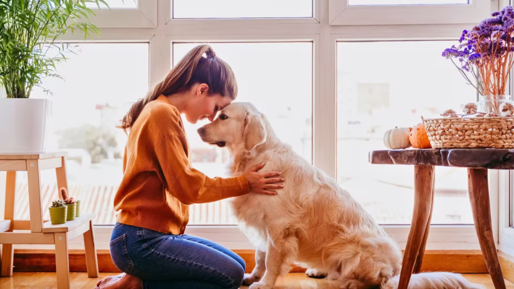 cachorro_com_plano_de_saude_pet_petlove