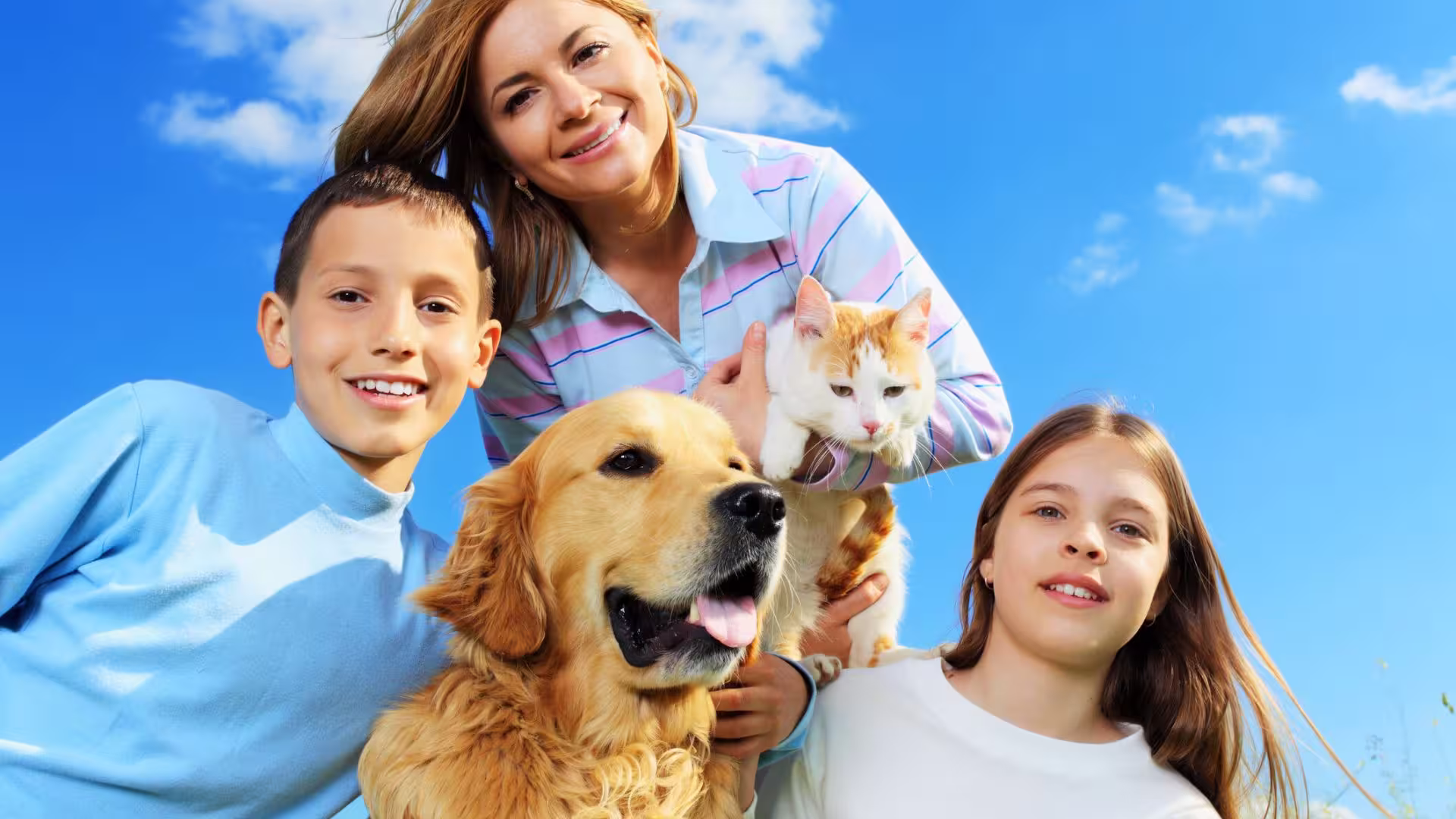cupom_de_desconto_petlove
