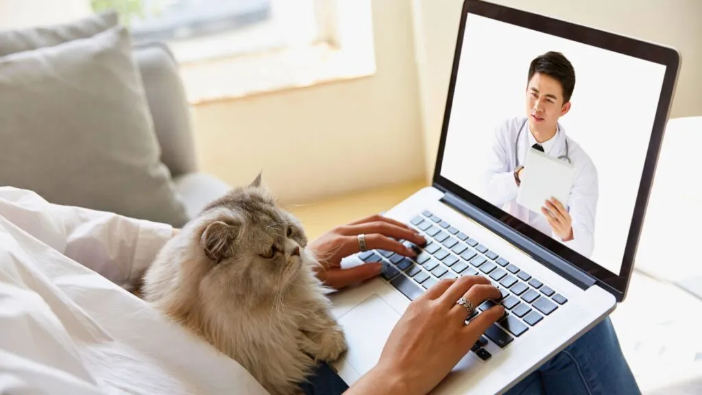 Plano de Saúde Pet Mais Barato do Brasil: Como Proteger Seu Companheiro por Apenas R$ 14,90/Mês em 2025 plano_de_saude_pet_com_telemedicina