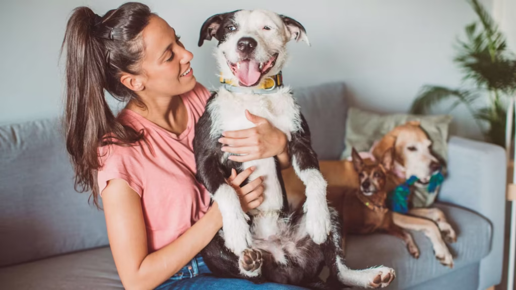 tutor_com_pets_com_perfis_diferentes
