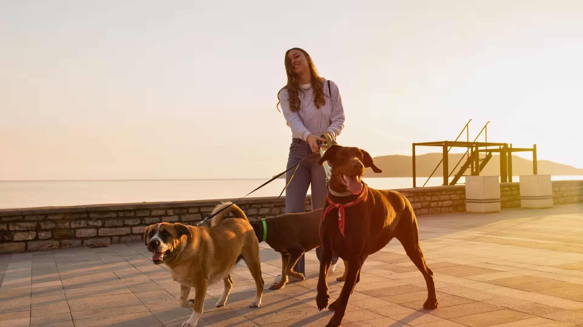 Cidades_Cobertas_Pelo_Plano_de_Saude_da_Petlove