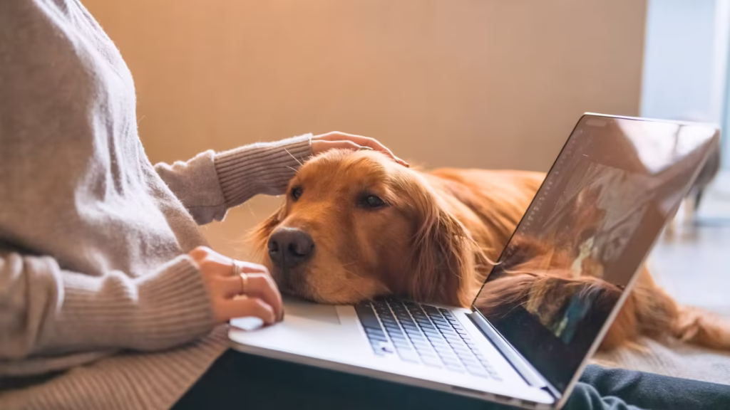 plano_de_saude_petlove